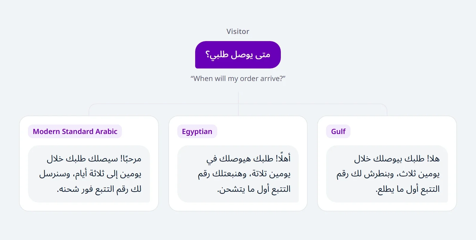 One visitor question with three reply bubbles: in Modern Standard Arabic, Egyptian and Gulf